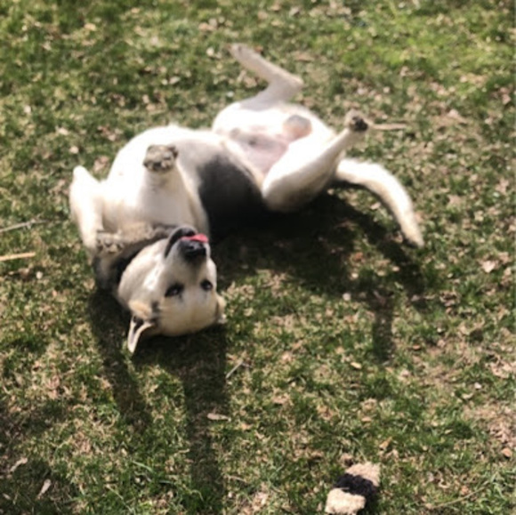 Profile Picture of Olivia Wacek (@oliviawacek) on Poshmark