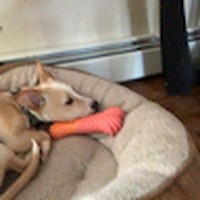 Profile Picture of Michael Rispoli (@michael-rispoli-10) on Quora