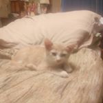 Profile Picture of Loretta   Lambert (@mikey_putt_putt) on Instagram