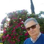 Profile Picture of Armando Ribeiro Armando (@armandoribeiroarmando) on Instagram
