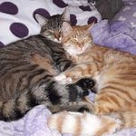 Rebecca Prosser - Instagram Profile Picture of Rebecca Prosser (@rebecca.price.90834) on Instagram