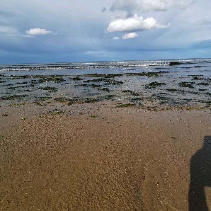 Tia Clements - Tiktok Profile Picture of Tia Clements (@troyclements6) on Tiktok