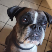 Profile Picture of Joshua Blanford (@joshuablanford5400) on Youtube