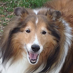 Cati Gamble - Flickr Profile Picture of Cati Gamble (@the_gamblin_goober) on Flickr