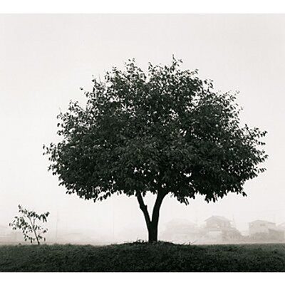 Profile Picture of Scott Plunkett (@scottyplunkett) on Twitter