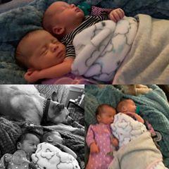 Profile Picture of Tyler Bunch (@@tybunch) on Tiktok