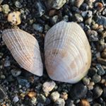 Profile Picture of Scott Mcketsy (@mcketsy) on Instagram