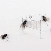 Profile Picture of Ly Tang (@lytang8079) on Youtube