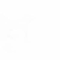 Profile Picture of Peter Barák (@peter-barák) on Quora