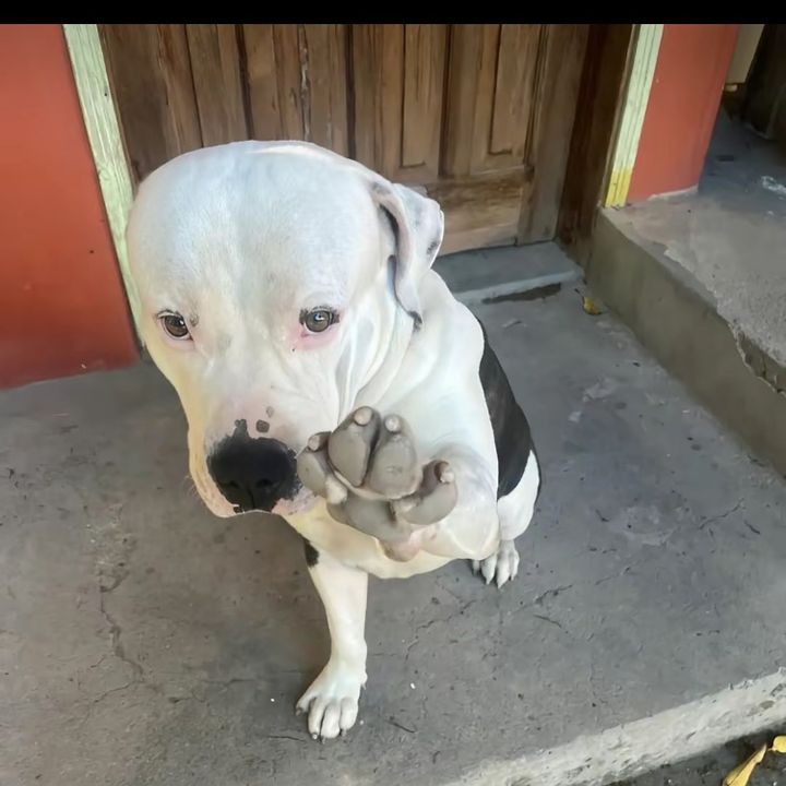 Profile Picture of Hector_L.101 (@stilson2005) on Tiktok