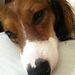 Profile Picture of Kyle Denton (@kyledenton5074) on Pinterest