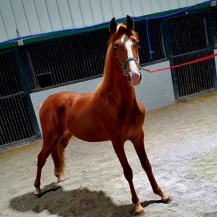 Profile Picture of Jesse Martin (@jessemartin672) on Tiktok