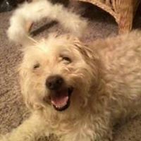 Profile Picture of Stephanie Presley Simonson (@stephanie-presley-simonson) on Quora