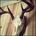 Profile Picture of Tricia Barton (@trishthedish2012) on Instagram