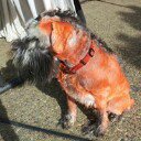 Profile Picture of Chris Camuso (@3rd_3ye_j3di) on Instagram