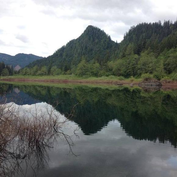 Profile Picture of Daniel Burnett (@michelangelo93) on Poshmark