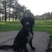 Profile Picture of Stephen Herbert (@stephen.herbert.3133) on Facebook