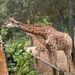 Profile Picture of Martin Tsui (@martintsui) on Pinterest
