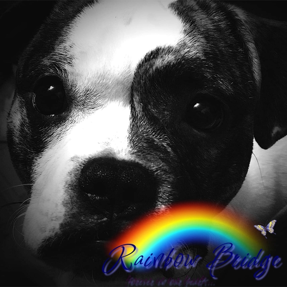 Profile Picture of Trisha Lachat (@tlachat) on Poshmark