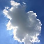 Profile Picture of David Tooley (@davidtooley) on Instagram