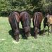 Profile Picture of Philippe Lemay (@philippe.lemay.733) on Facebook