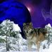Profile Picture of Gregory Pavlik (@gregory.pavlik.3) on Facebook