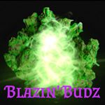 Profile Photo of Terry Simmons (@_blazin.budz_) on Instagram