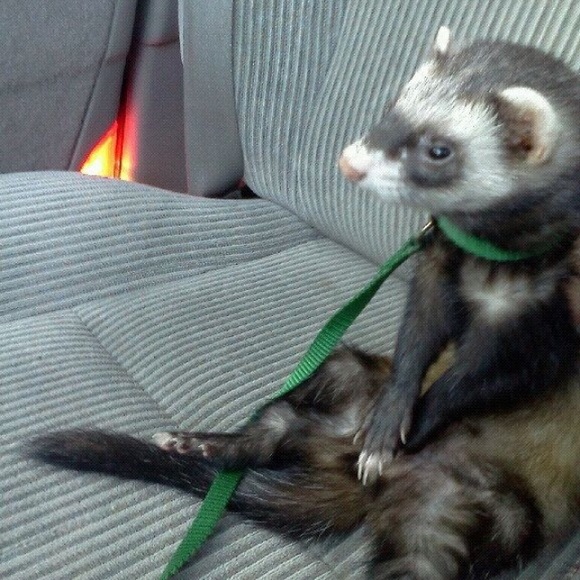 Profile Picture of Kylee Stangel (@kylee642) on Poshmark