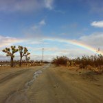 Profile Picture of Brandy Needham (@brandylneedam) on Instagram