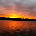 Profile Picture of Tammy Fuchs (@tduwe419) on Instagram