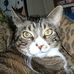 Profile Picture of Caroline Hahn (@caroline.hahn.376) on Facebook