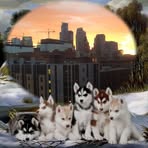 Profile Picture of Lupe Verdin (@lupe.verdin.94438) on Facebook
