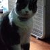 Profile Picture of Sylvester Hendrix (@Sylvester-Hendrix) on Facebook