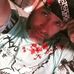 Profile Picture of Michael Thorne (@Michael-Thorne) on Facebook