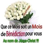 Diane Kaze - Instagram Profile Picture of Diane Kaze (@diane_kaze) on Instagram