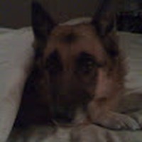 Profile Picture of Ron Lafleur (@ron-lafleur-6) on Quora