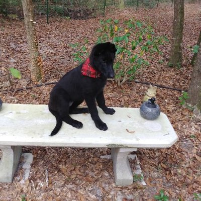 Profile Picture of Lori Wegener (@LoriWegener) on Twitter