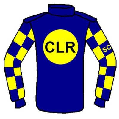 Profile Photo of Crystal Lane Racing (@RaceCrystalLane) on Twitter