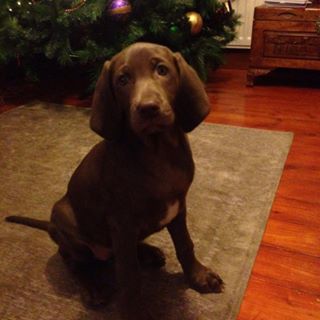 Profile Picture of Amelia Stuart (@amelia.stuart.376) on Facebook