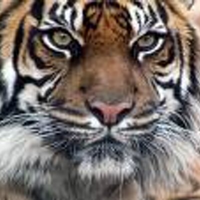 Profile Picture of Jeremy Mckinster (@TruckerGuy78) on Twitter