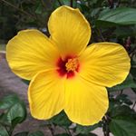 Profile Picture of Jo Dawn Bomar (@jodawnb) on Instagram