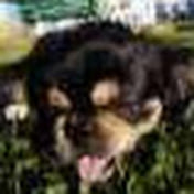 Profile Picture of Melissa Montero (@melissamontero9340) on Youtube