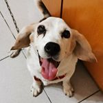 Profile Picture of 林婕*Estela (@chieh.lin0325) on Instagram