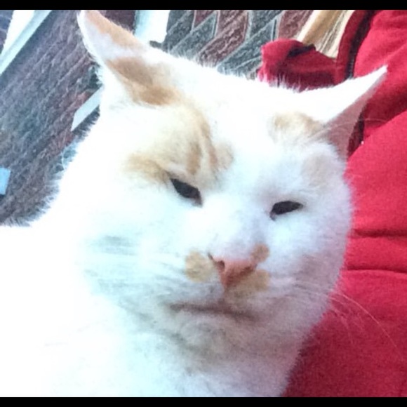 Profile Picture of Steph Mertus (@stephmxre) on Poshmark