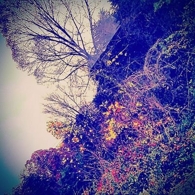 Jacob Mosier - Twitter Profile Picture of Jacob Mosier (@JacobMosier1) on Twitter