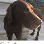 Profile Picture of 🐺 (@alyssa_devine_3907) on Instagram