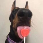 Profile Picture of rodrick heffley fan page (@balyeeted) on Instagram