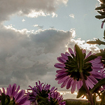 Profile Picture of Eva Del Toro (@eva.deltoro) on Flickr