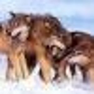 Profile Picture of Charles Dittmar (@198969273) on Myspace