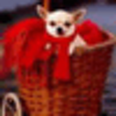 Profile Picture of Phyllis Raymond (@beautydrea) on Twitter